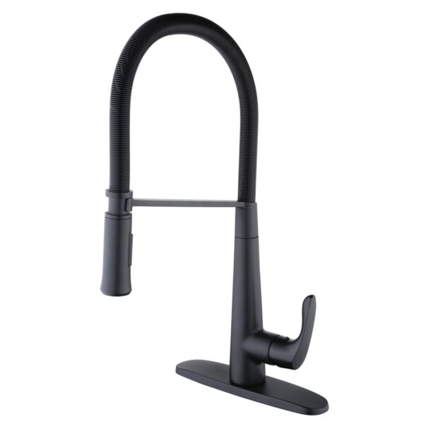 192-7503 Aegean Single Handle Coil Pull-Down Kitchen Faucet